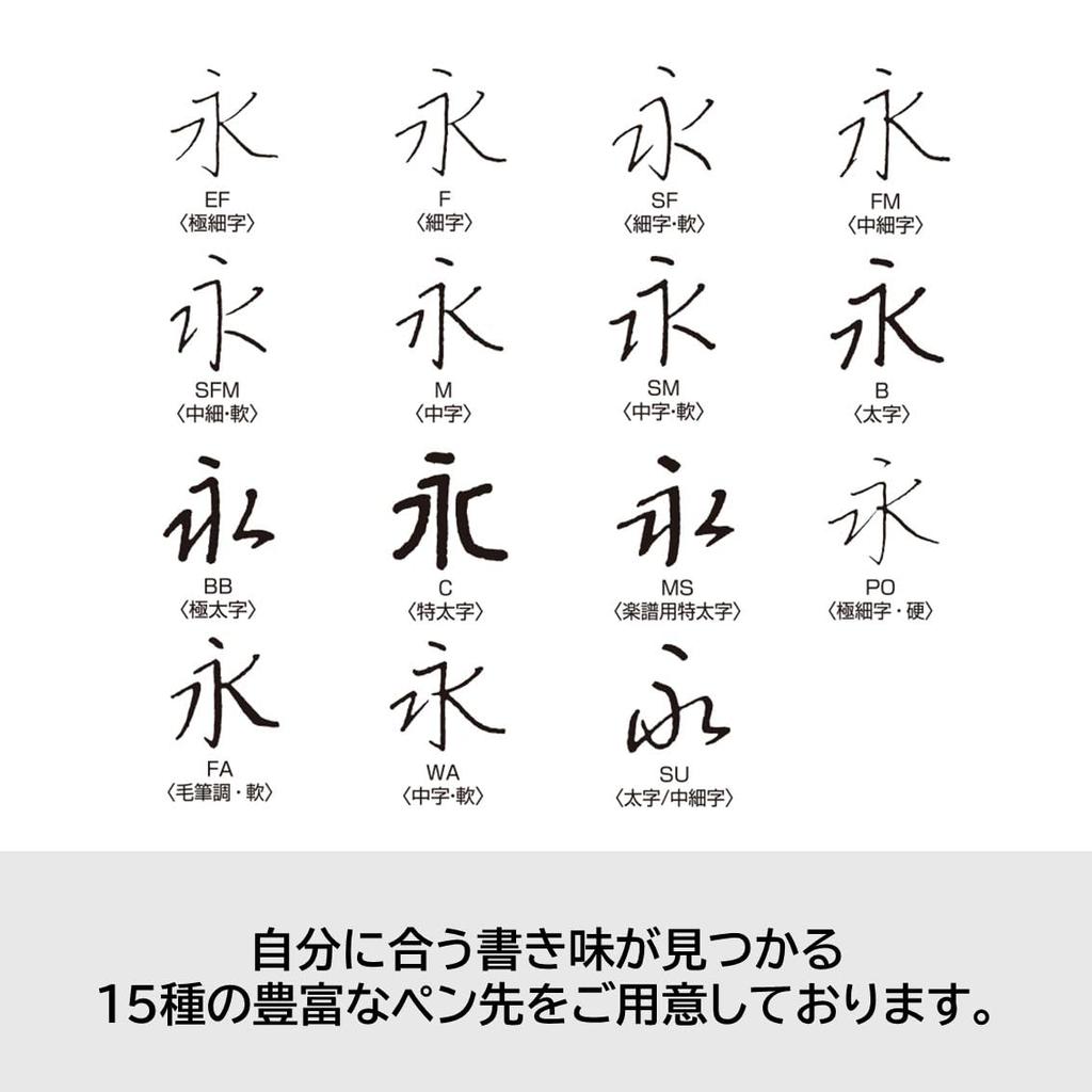 Pilot Custom Heritage 912 Fountain Pen Fine Nib Posting PO Black FKVH2MRBPO