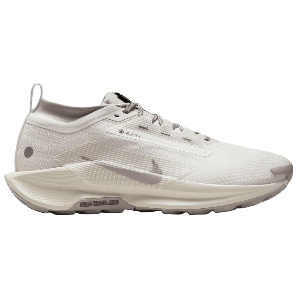 Nike Pegasus Trail 5 GORE-TEX Summit White Light Bone Men Sneakers College-Grey HQ7494-100