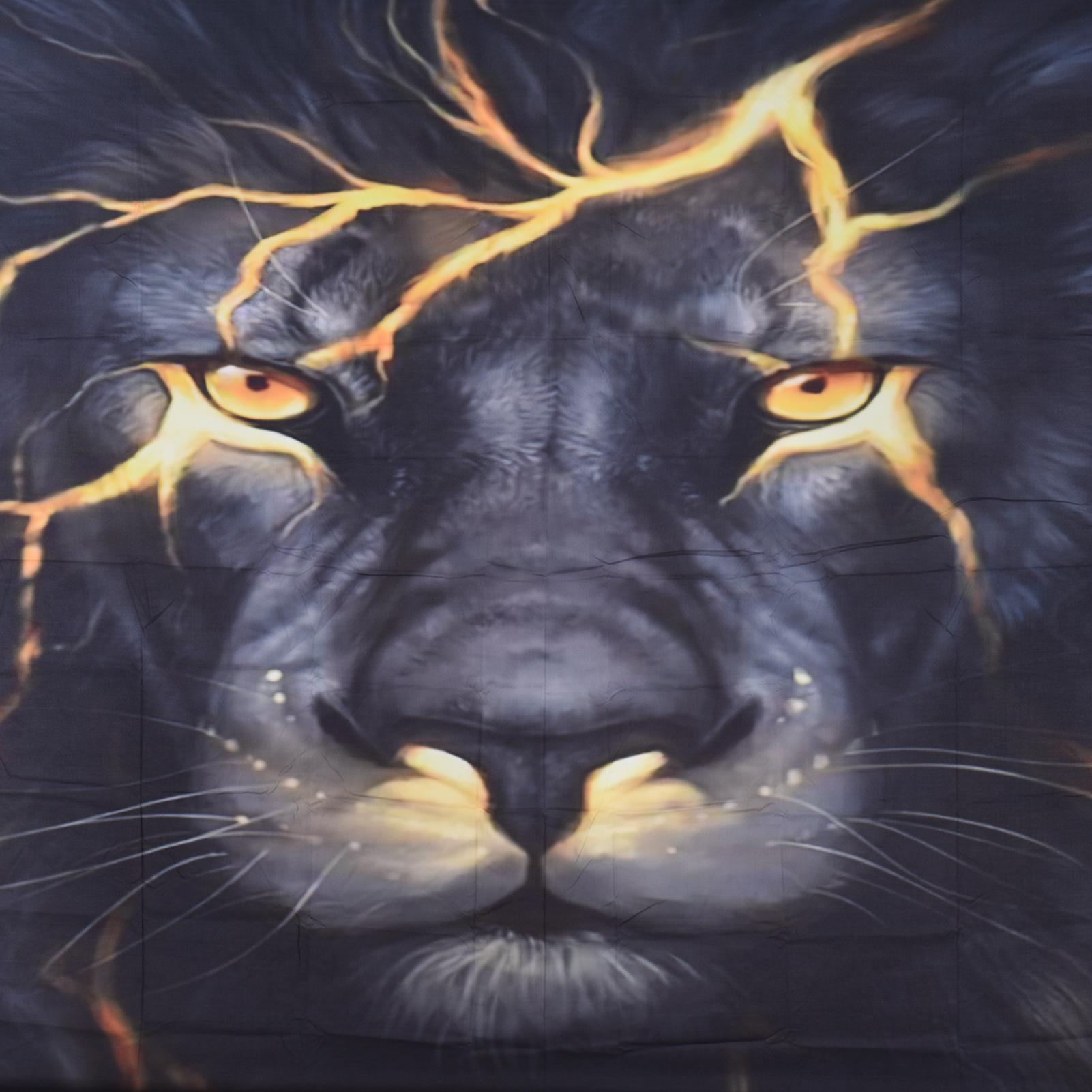 

Гобеленовый фон для стены комнаты, подвесное одеяло, украшение для вечеринки, тканевый художественный гобелен для спальни 110g чёрный