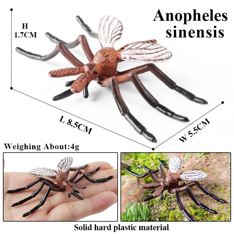 Oenux Wild Insect Animals Model Mantis Grasshopper Butterfly Bee Beetle Action Figures PVC Science Education Collection Kid Toy