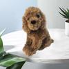 Simulated Teddy Doll Plush Toy Plush Toy Animal Plush Toy