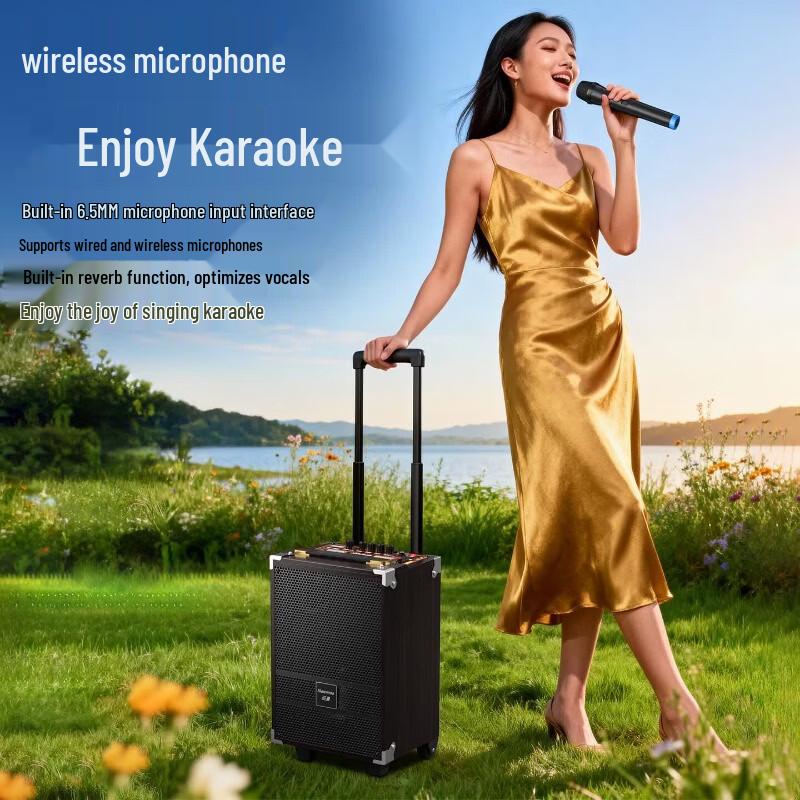 Newsmy N557 Portable Outdoor Karaoke Trolley Speaker (CN Version)