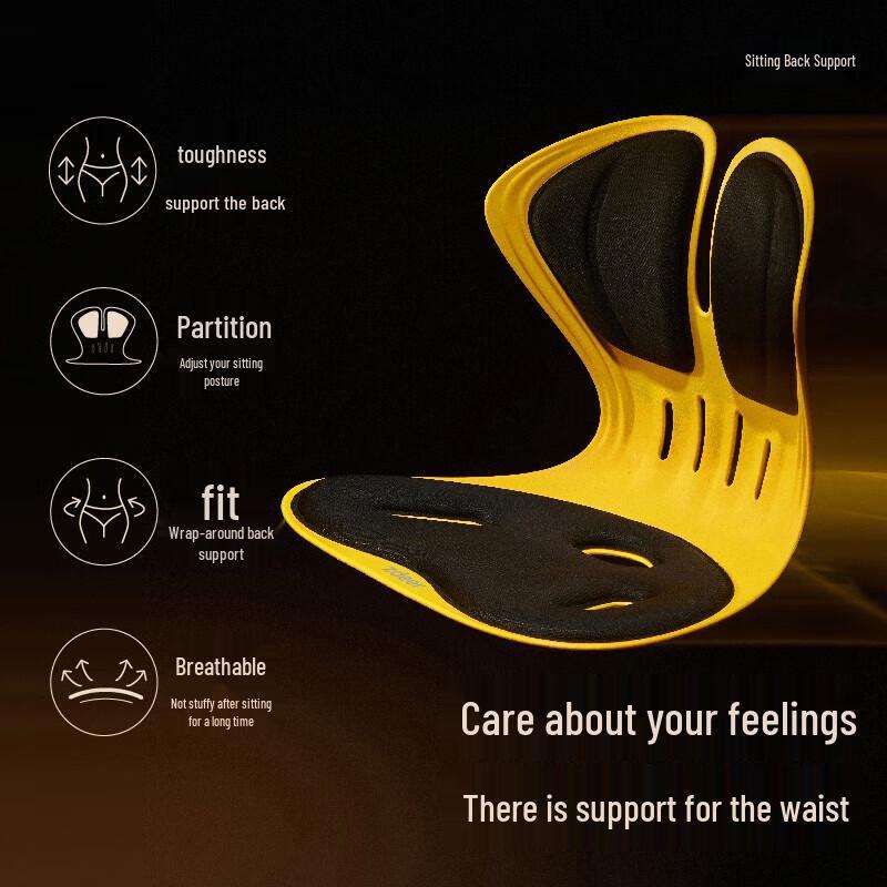 ZuoDian Posture Correcting Lumbar Support Cushion