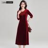 Women's V-Neck A-Line Velvet Embellished Dress