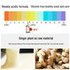 Zhuo Lan Ya Ginger Anti-Hair Loss & Growth Shampoo