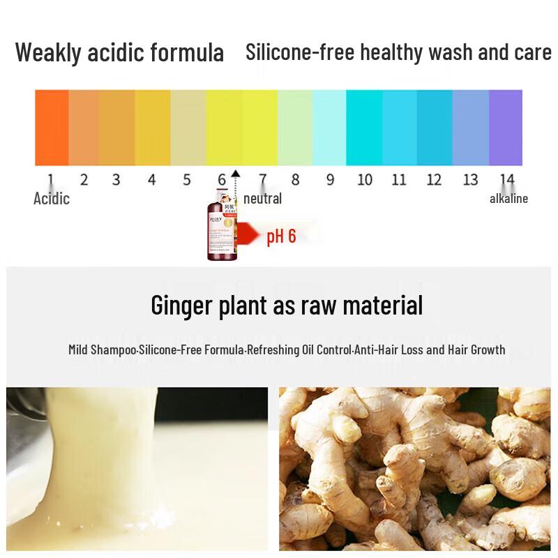 Zhuo Lan Ya Ginger Anti-Hair Loss & Growth Shampoo