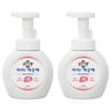 Ikkekke Hand Wash Bottle Type Fresh Lemon Scent 250ml 2 Pcs