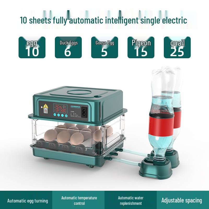 Compact Intelligent Egg Incubator for Home - Automatic for Chicken, Duck, Goose Eggs