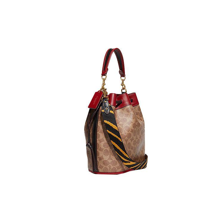 Coach Field 23 Classic Monogram Leather Dinosaur Print Tote Bag Women tote Brown Red C7769-B4TWJ