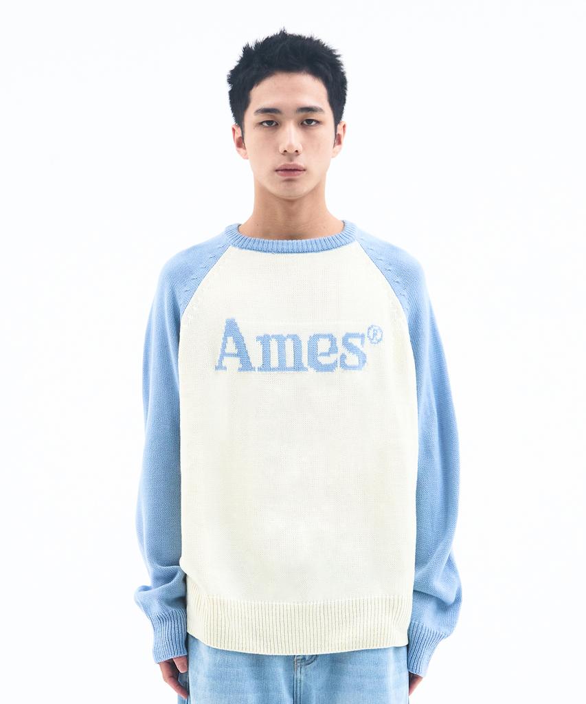 AMES-WORLDWIDE Basic Raglan Pullover Knit Light Blue