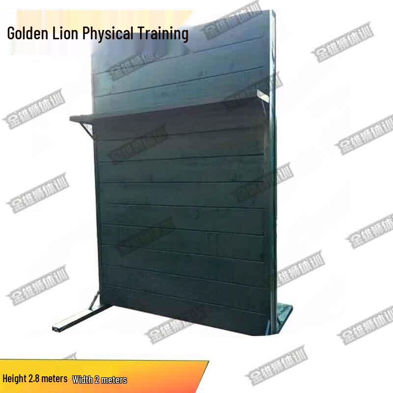Golden Lion Fitness Training Equipment