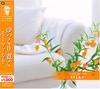 Музыкальные альбомы – CD-записи