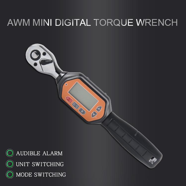 China 1-100Nm 1/2" Mini Digital Torque Wrench Essential Tool for OEM and Professionals