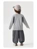 European Boys' 2026 Long-Sleeve Spring/Autumn T-Shirt - New Toddler Base Layer Shirt