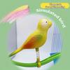 Simulation Bird Swing Perch Toy Plastic Bird Chewing Stand  For Small Medium Parrots