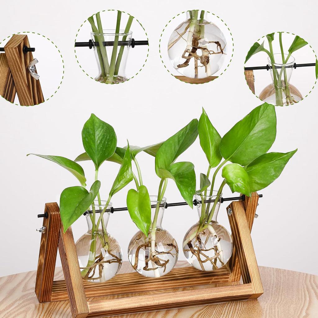 Creative Wooden Frame Hydroponic Glass Vase Ins Style Retro Green Ivy Plant Hydroponic Vessel Small Vase Desktop Decoration