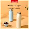 600ml 304 Stainless Steel Insulated Travel Tea Bottle