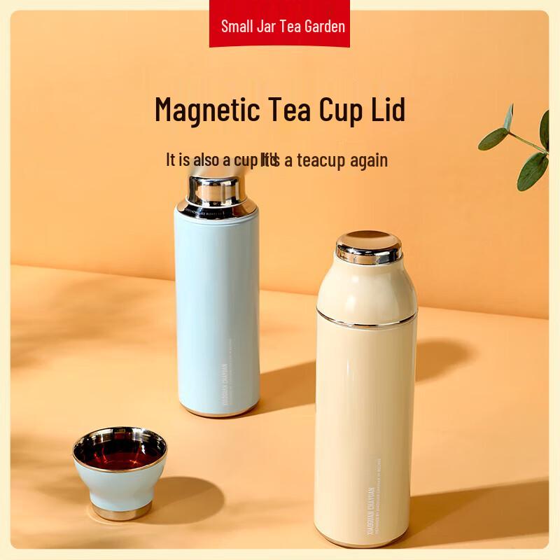 600ml 304 Stainless Steel Insulated Travel Tea Bottle