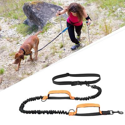 Double Elastic Reflective Running Leash Portable Retractable Dog Leash Dog Chain Leash Pet Supplies Wholesale