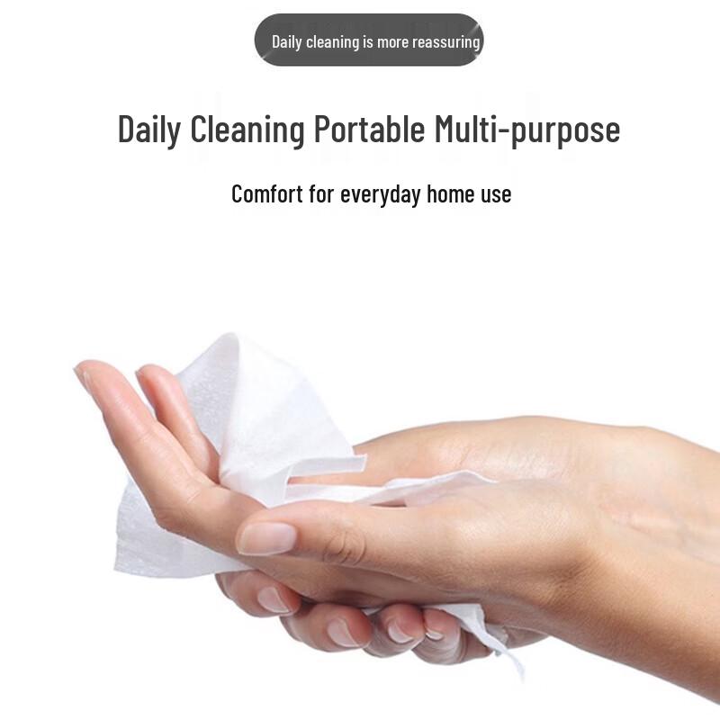 V1 75% Alcohol Disinfectant Wipes, 100 Count