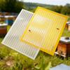 1Pc Plastic Mesh Beekeeping Queen Excluder Frame Bee Queen Barrier Anti-Escape Separation Trapping Grid Net Tool Separated Board