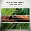 MORAKOT Black Is Black Perfume for Men 100ml – Marine Woody Long-Lasting EDP