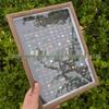 100 Crystal Mineral Specimens: Agate Raw Stones & Unique Stones in Glass Frame for Children's Science Education