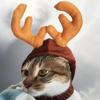 For Cats Dogs Kawaii Cute Cat Dog Halloween Christmas Reindeer Antler Hat and Bow Tie Collar