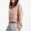 Li Ning Loose Hooded Pullover Sports Sweatshirt Women Sweatshirt Gingerbread-Brown AWDQ512-4