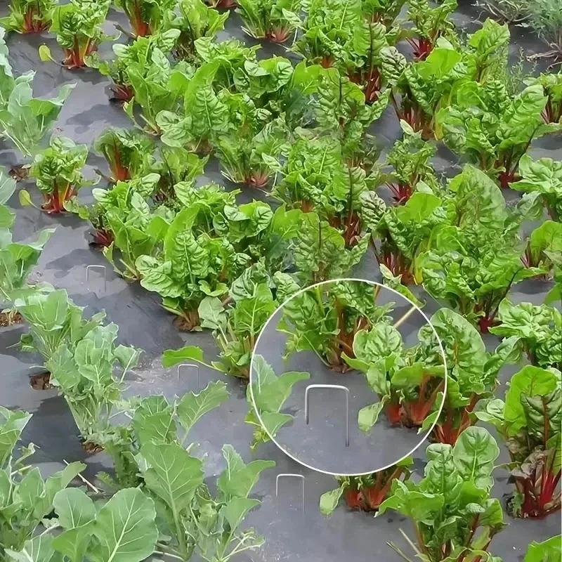 100pcs 2.2mm*100mm Galvanized Garden Ground Nails for Gardening, Outdoor Greenhouses, Turf and Plant Fixationaccesorries