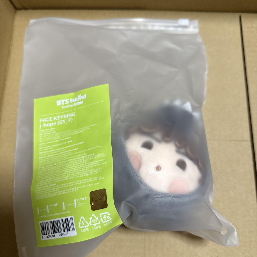 

[USED] BTS FESTA 2025 In The Som Face Key Ring Jhope Hobi