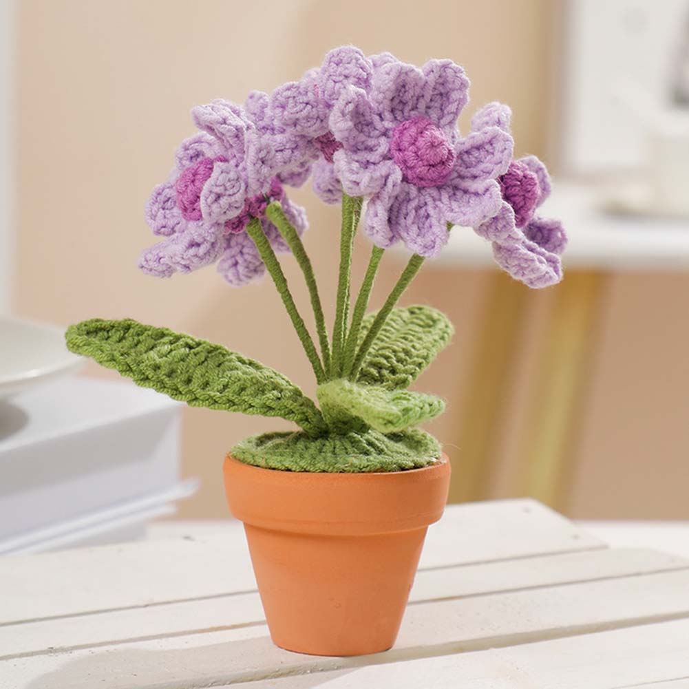 Decoration Potted Plant Fashionable Hand-woven Wool