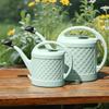 Indoor & Outdoor Plant Watering Can - Long-Spout Watering Can for Gardening, Flowers, and Potted Plants - 3L/6L/12L