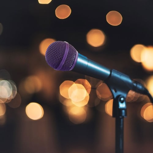 Abaodam 4-Piece Replacement Microphone Head Grill Ball and Inner Foam, Steel Mesh Replacement Head for