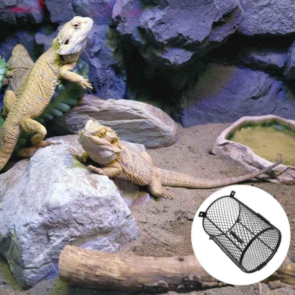 Round and Square Shape Heating Bulb Lamp Enclosure Iron Mesh Cover Reptiles Heat Lamp Guard  Snake