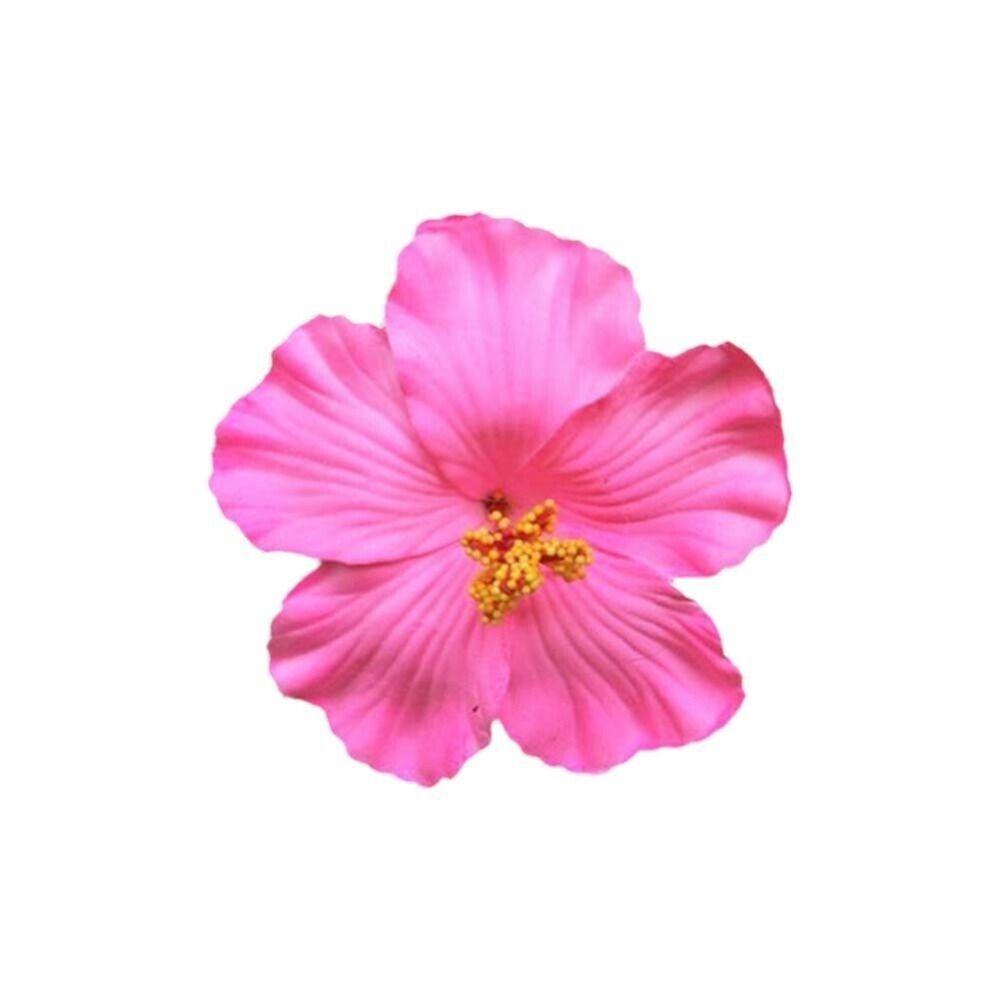 Headwear Hawaiian Flower Hair Clips Side Bangs Clip Hair Accessories BB Hair Clips Romantic Suitable Vacation Beach Parties