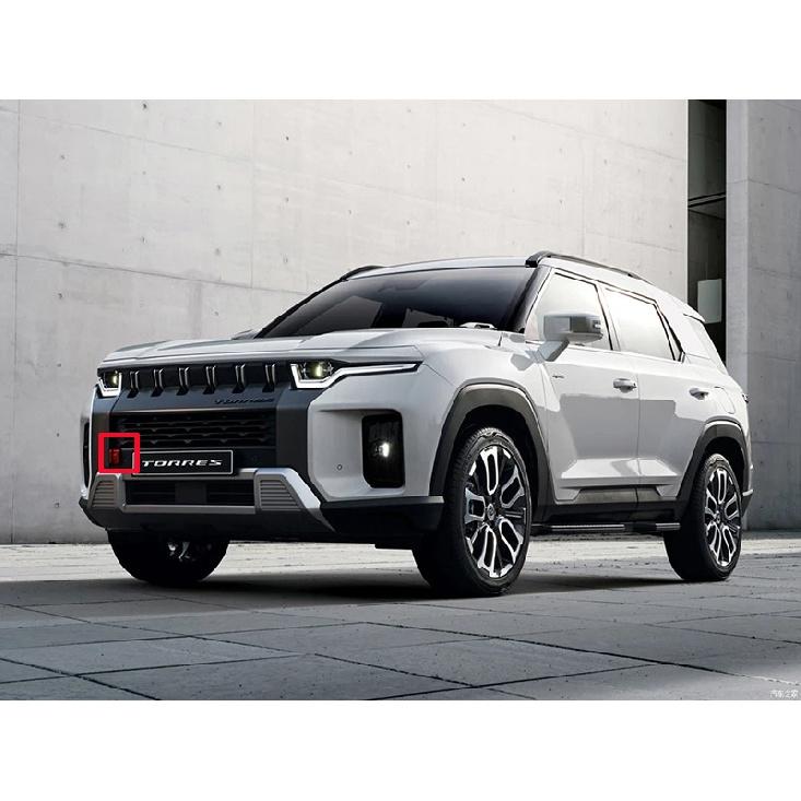 For SsangYong Torres (J100)   Carbon Fiber Style Front Grille Accent Cover Lower Mesh Trim Molding Styling Bezel Garnish