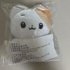 BOYNEXTDOOR Unhak Doll
