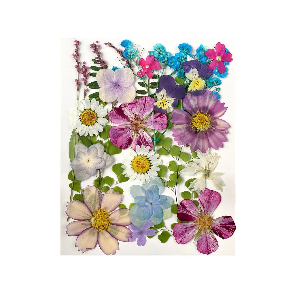 25PCS Dried Flowers Set for DIY Resin Pendant Making Filling Pressed Real Natural Flowers Leaves for Bookmark Phose Case Making
