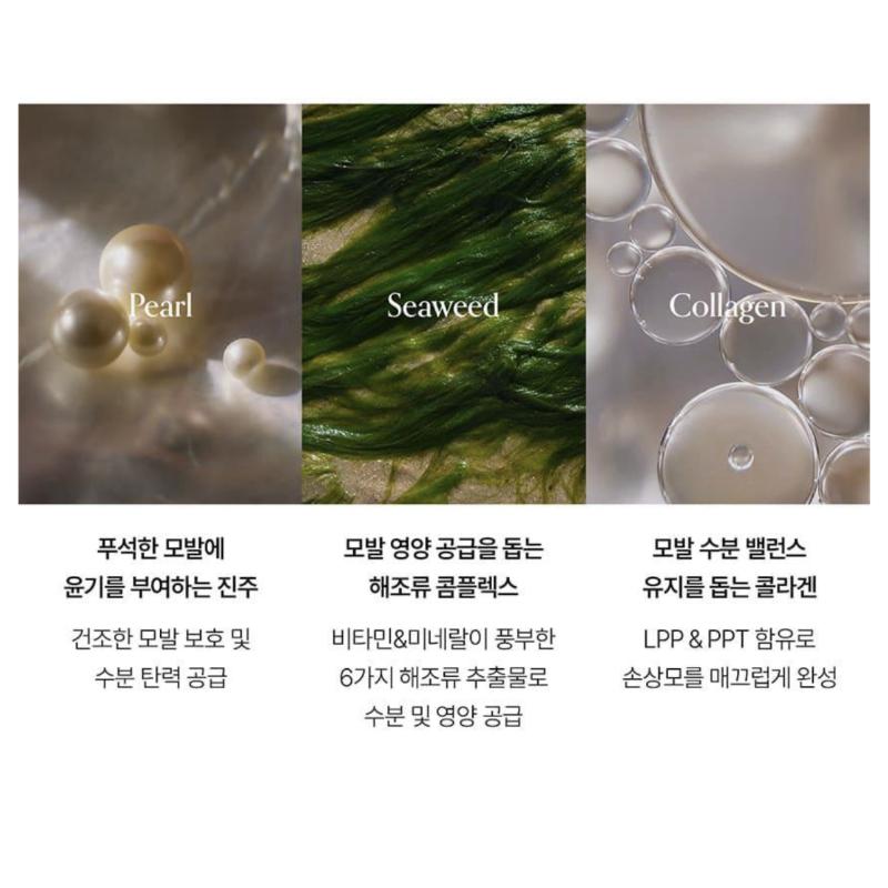 GROWUS Damage Therapy No-Wash Treatment EX 250ml+250 (Refill)/True Me