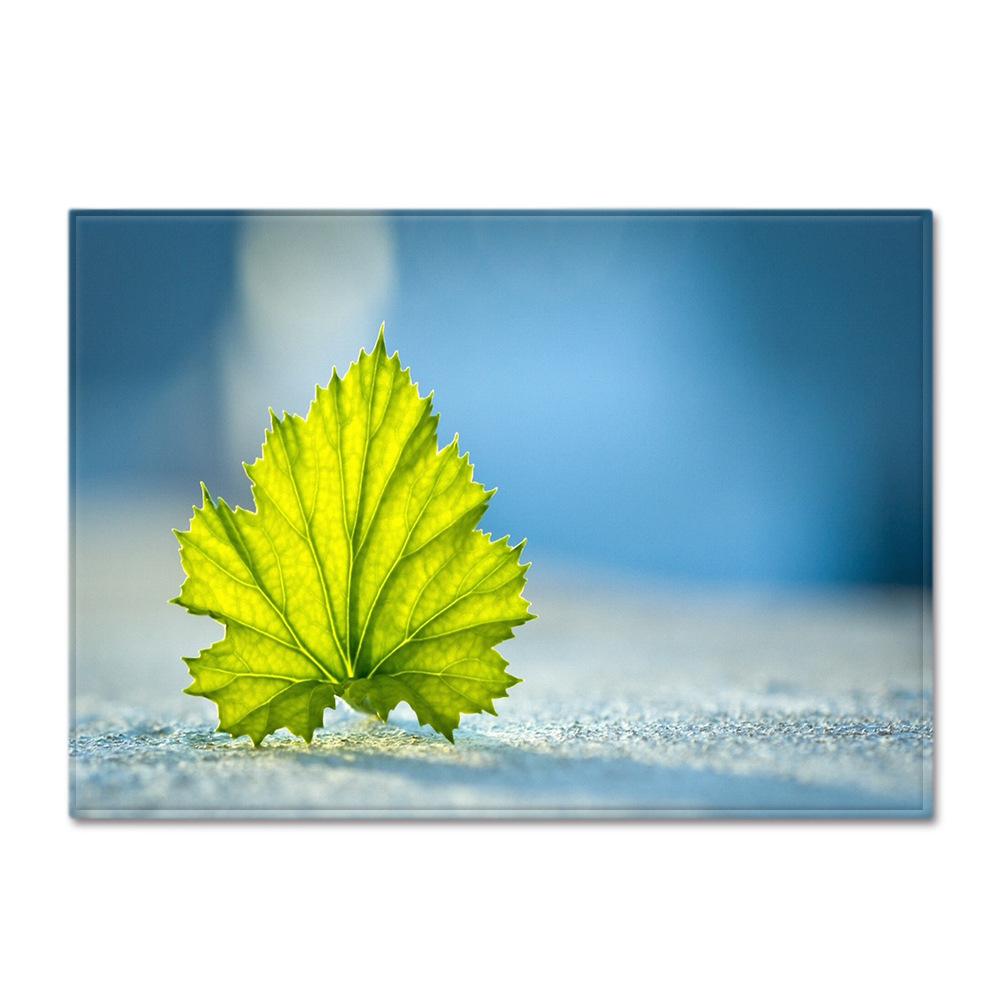 Scenic Carpet Feather Wind Bedroom Floor Mat