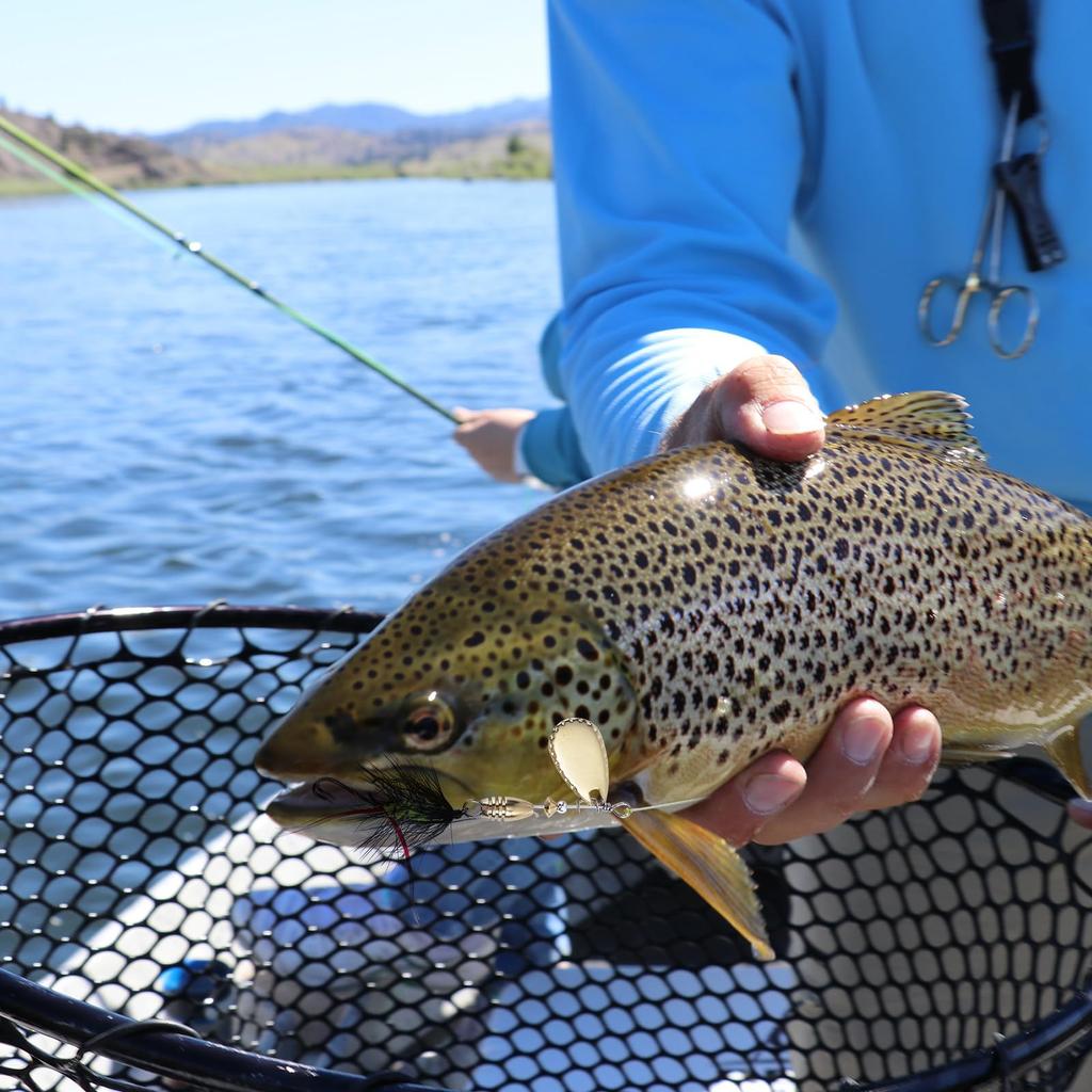 Goture Dry Complete 10 Spinnerbait with Spinner Storage Box Brass for Fly Real Spin Barb Mountain Trout Bass Fishing Fly Handmade Lure Can Be Used In