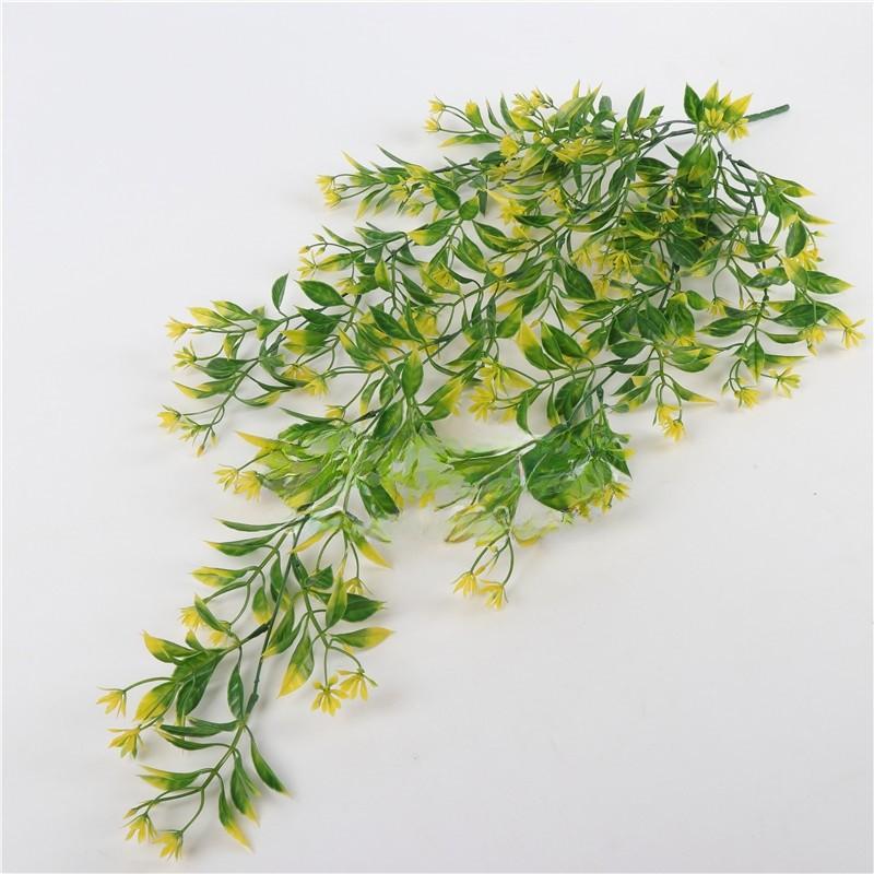 Chlorophytum Indoor Comosum Wall Hanging Plant For Living Room And Bedroom