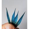Pointed Kingfisher Feather Jewelry: DIY Hairpin, Earrings, Phoenix Crown & Brooch Base