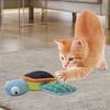 Simulation Turtle Electric Intelligent Cat Self-entertainment Toy Cat Amusement