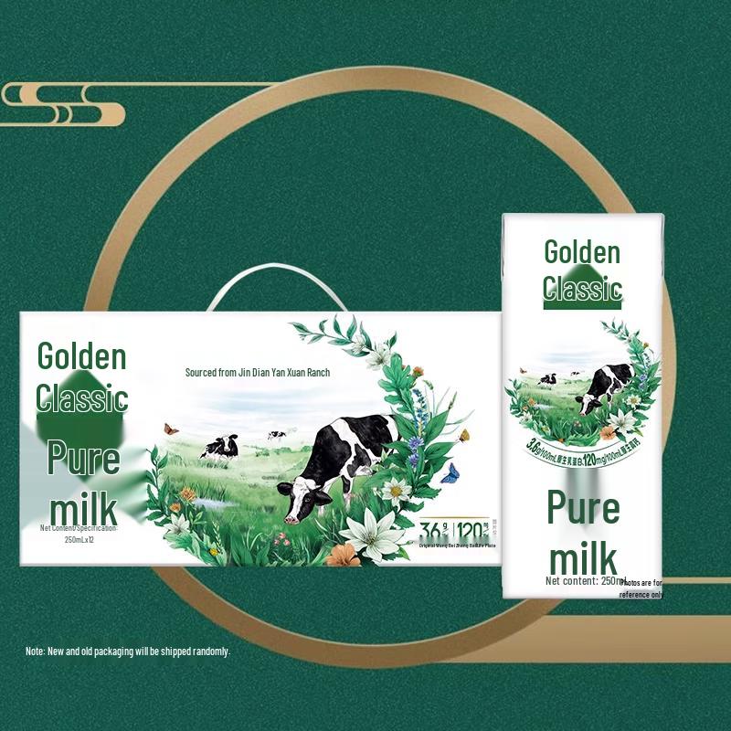 Yili Golden Classic Full Fat Pure Milk
