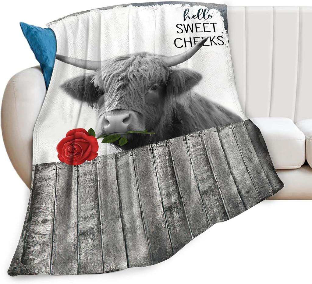 Christian Lion Scripture Jesus Throw Blanket for Women Men Kids Adults, Soft Warm Cozy Fleece Blanket for Couch Sofa Bed