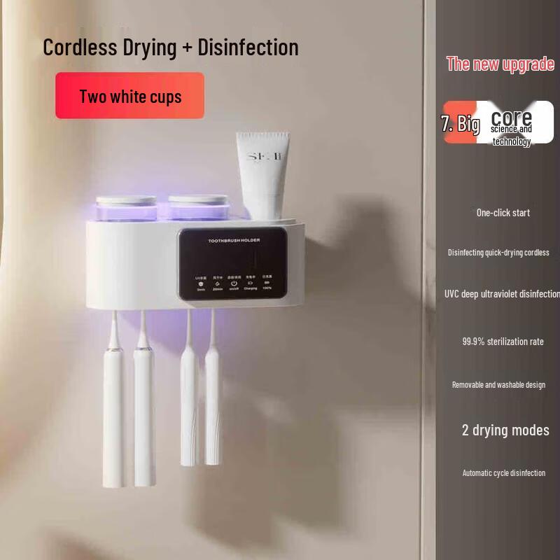 Aige Wall-Mounted Toothbrush Holder with UV Sterilizer