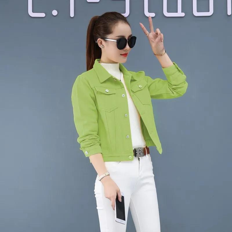 Women's Spring Academic-Style Slim-Fit Jacket Autumn Design Long-Sleeved Short-Sleeved Top