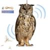 Farm Protector Ird Scarer Devices Decorative Owl Scarecrow Pendant Realistic Bird Scare Tools With Bell Garden Scarecrow Scare